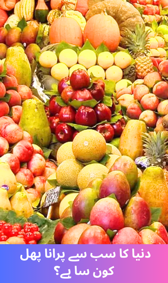 What is the world's oldest fruit?